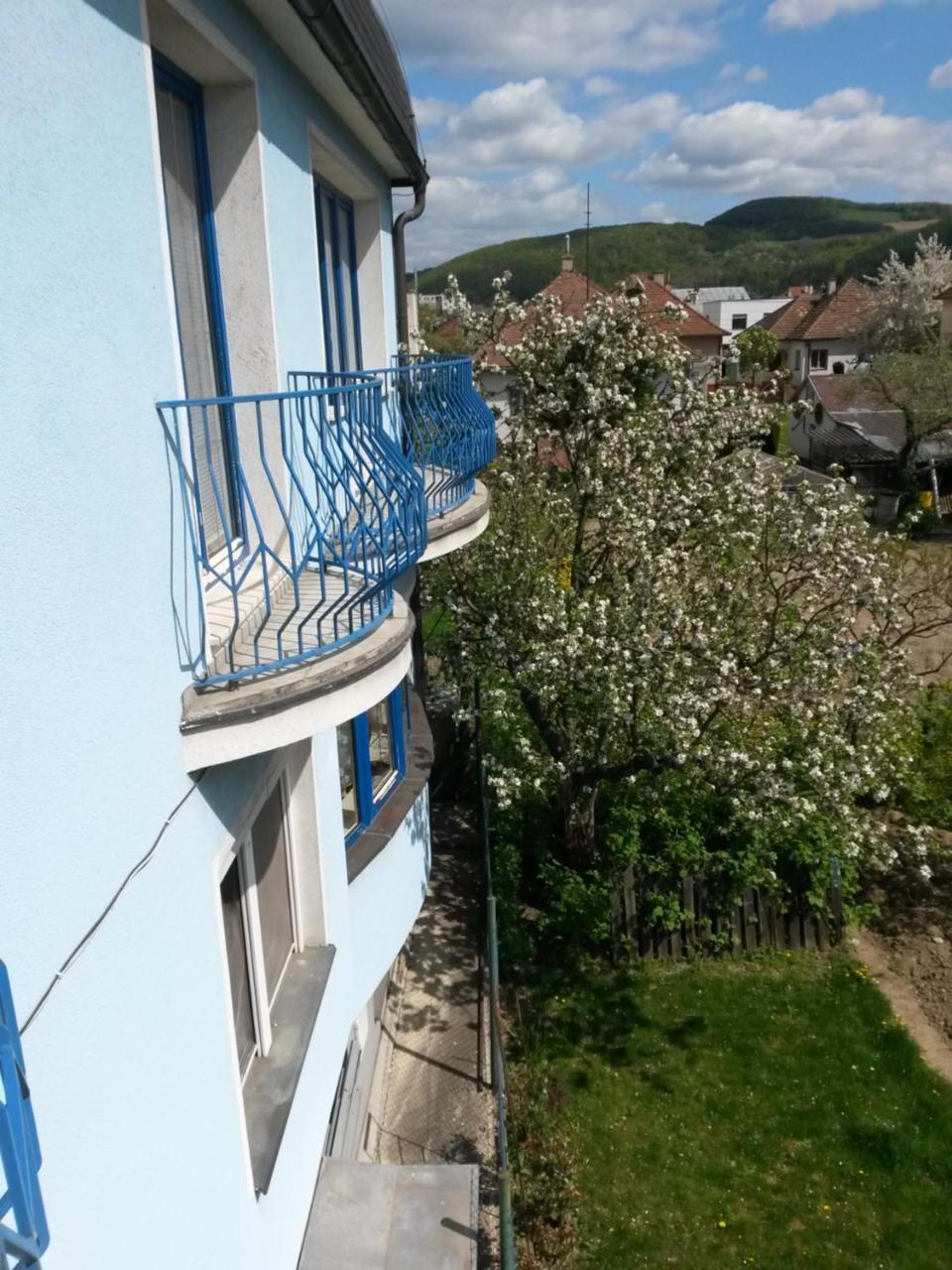 Pension Magnolia Trenčín Eksteriør billede